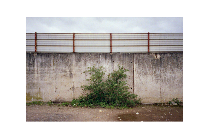 beton-vs-vegetation-10