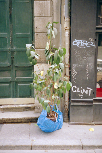 beton-vs-vegetation-2